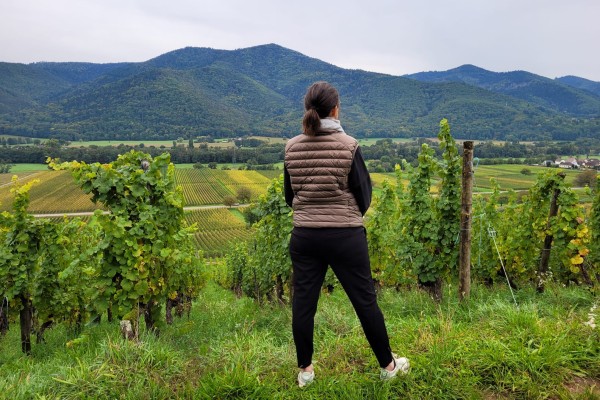  - Vignerons Indépendants