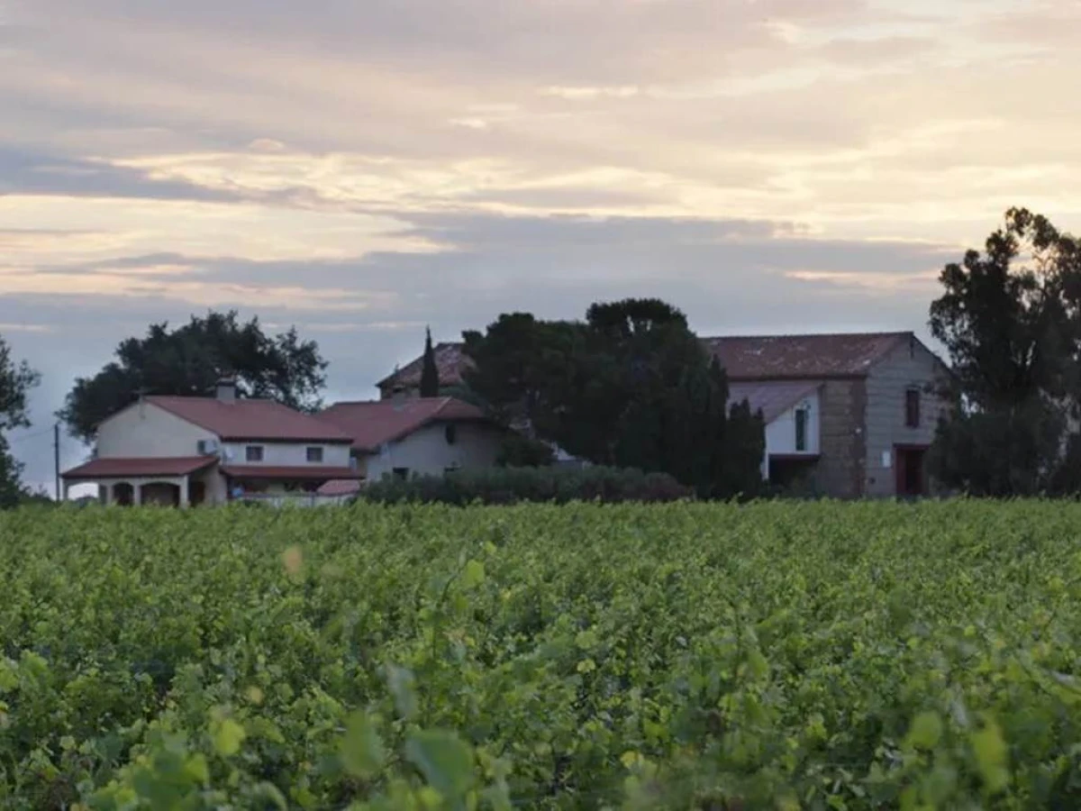 Tarif enfant - Vignerons Indépendants