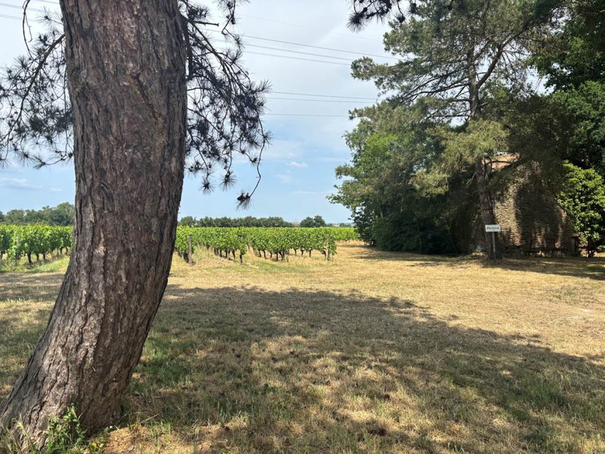  - Vignerons Indépendants