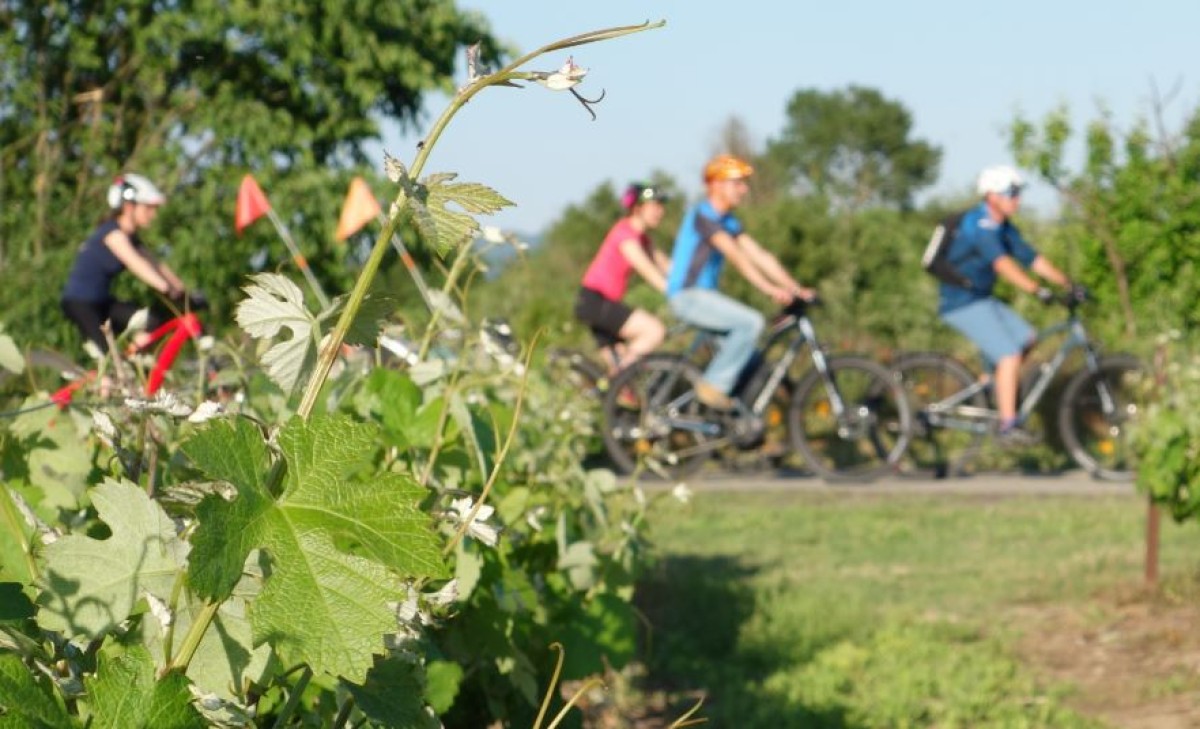  - Vignerons Indépendants