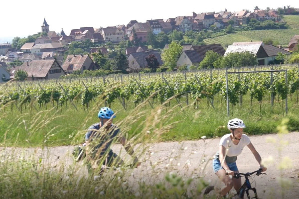 EBike, Picnic & Wine - Vignerons Indépendants