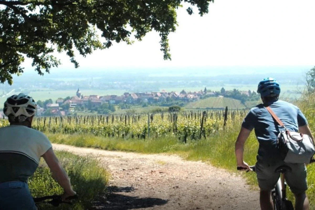 EBike, Picnic & Wine - Vignerons Indépendants