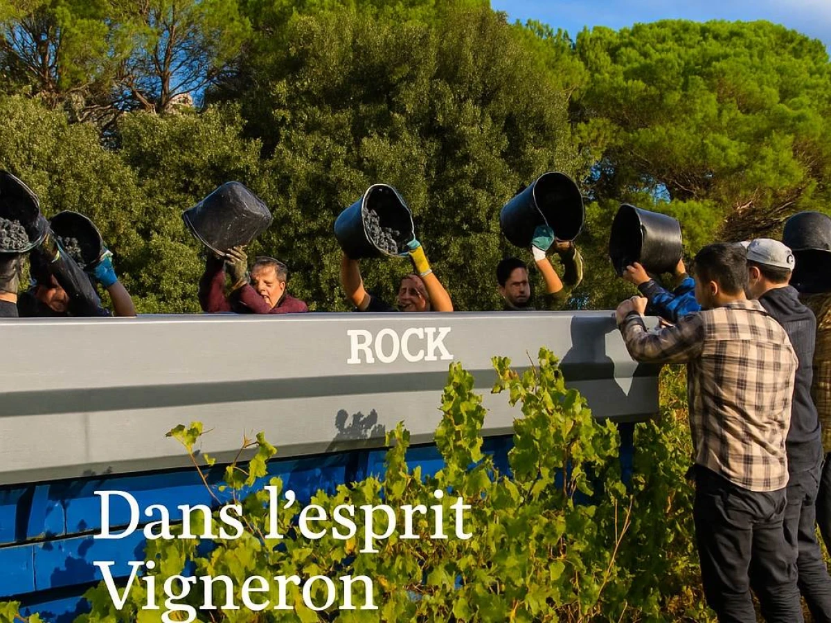 Traditional grape harvest with meal - Vignerons Indépendants