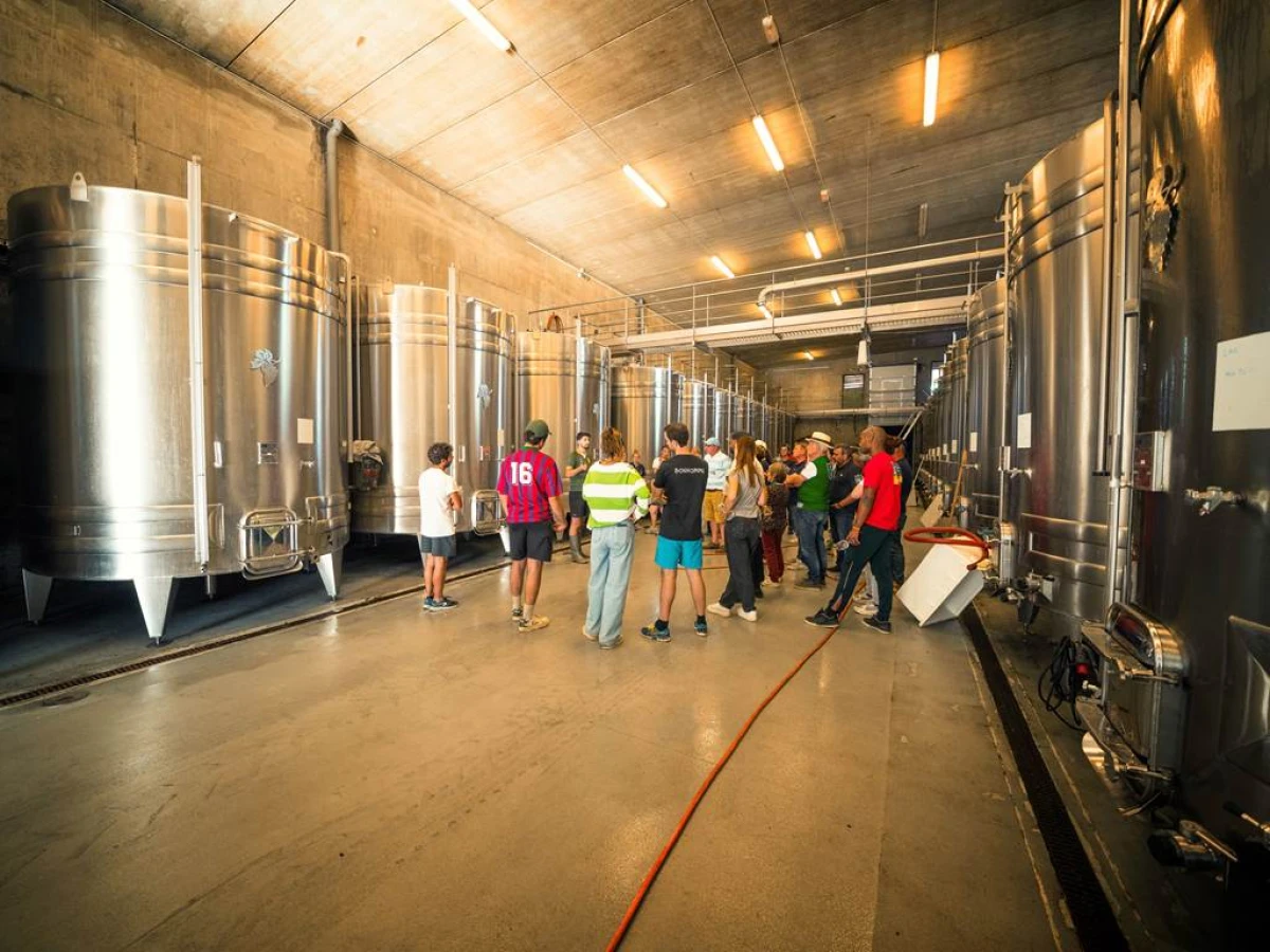 Vendangeur d'un jour le 27 septembre 2025 - Vignerons Indépendants