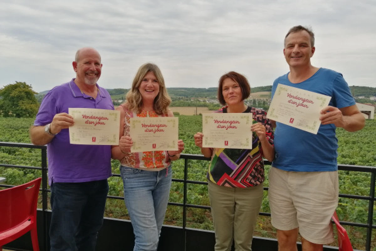 Harvester for one day - Book now ! - Vignerons Indépendants