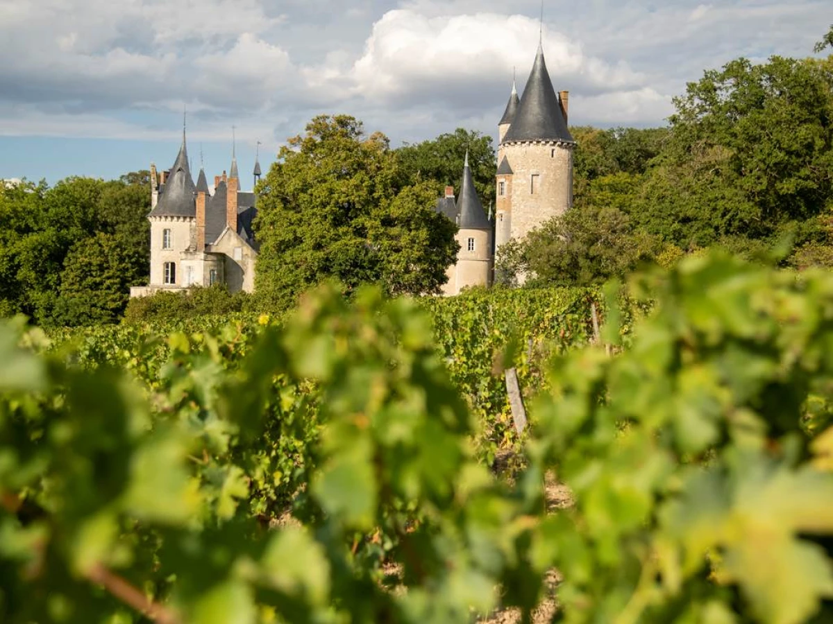 Harvester for a Day - Vignerons Indépendants