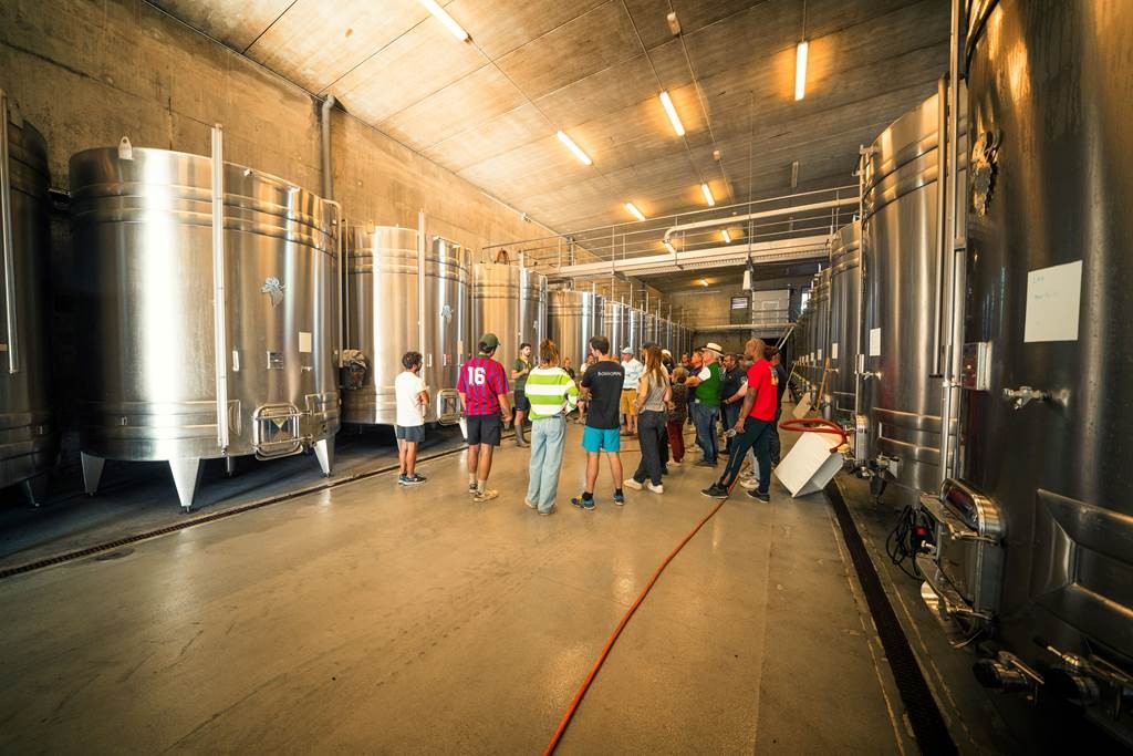 Vendangeur demi-journée le  27 Septembre 2025 - Vignerons Indépendants