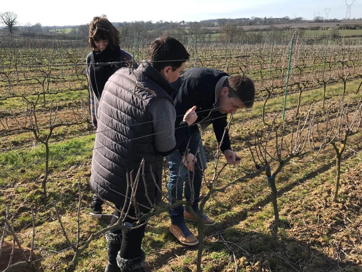 Vigneron d'un an - Vignerons Indépendants