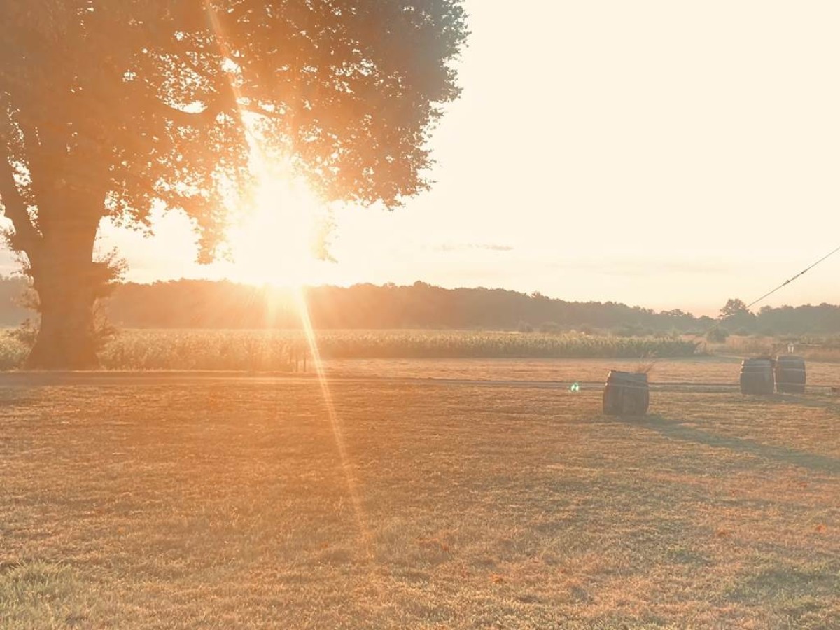 Vignes, vins, apéro - Vignerons Indépendants