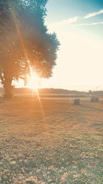 Vignes, vins, apéro - Vignerons Indépendants