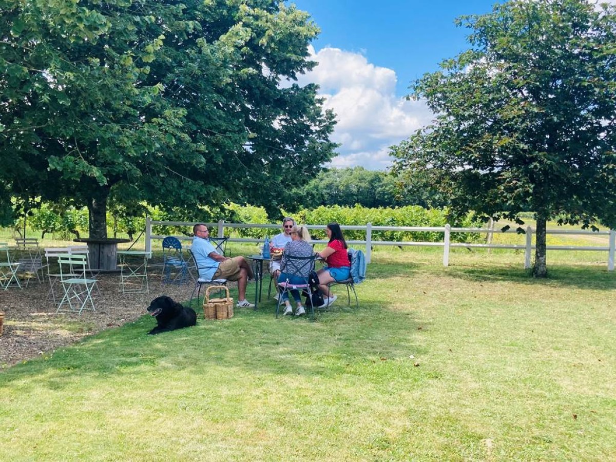 Vignes, vins, apéro - Vignerons Indépendants