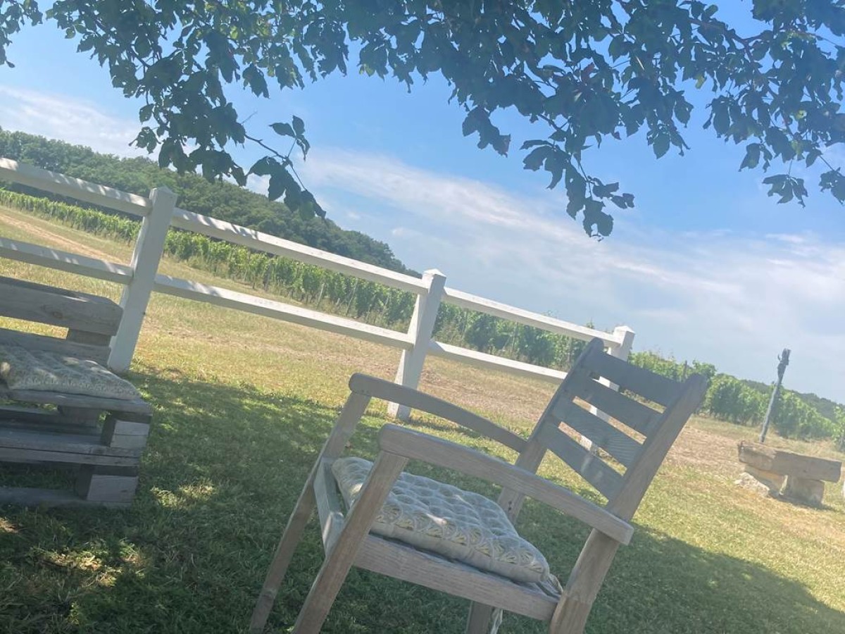 Vignes, vins, apéro - Vignerons Indépendants