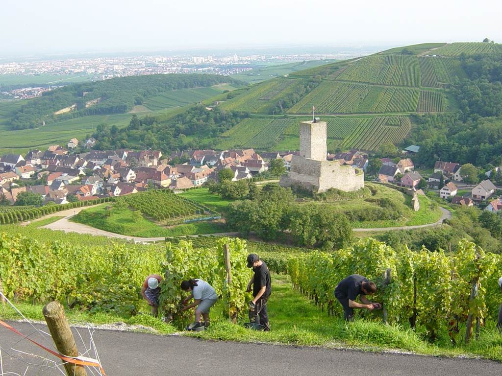  - Vignerons Indépendants