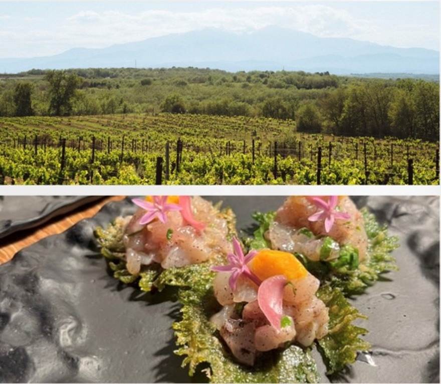 Vignobles en scène - Menu des sens - Vignerons Indépendants