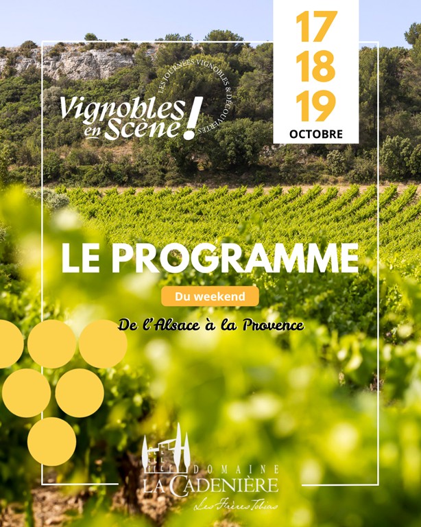 Vignobles en Scène - soirée concert - Vignerons Indépendants
