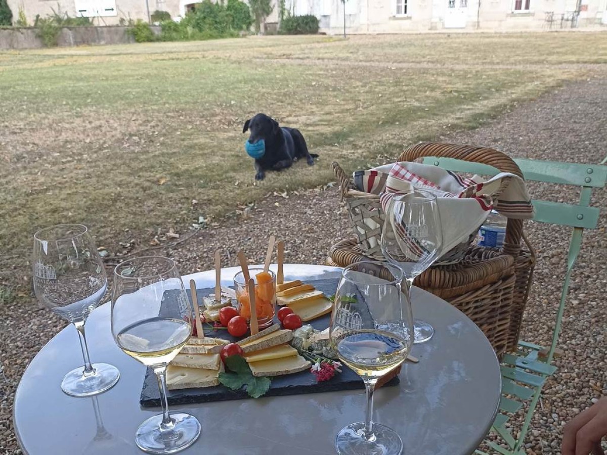 Wine & Cheese Tasting - Vignerons Indépendants