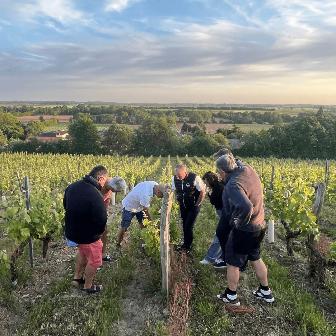  - Vignerons Indépendants