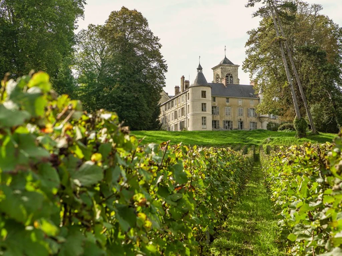 Visit to the heart of the Clos familial de Boursault and tasting of 3 vintages in English - Vignerons Indépendants