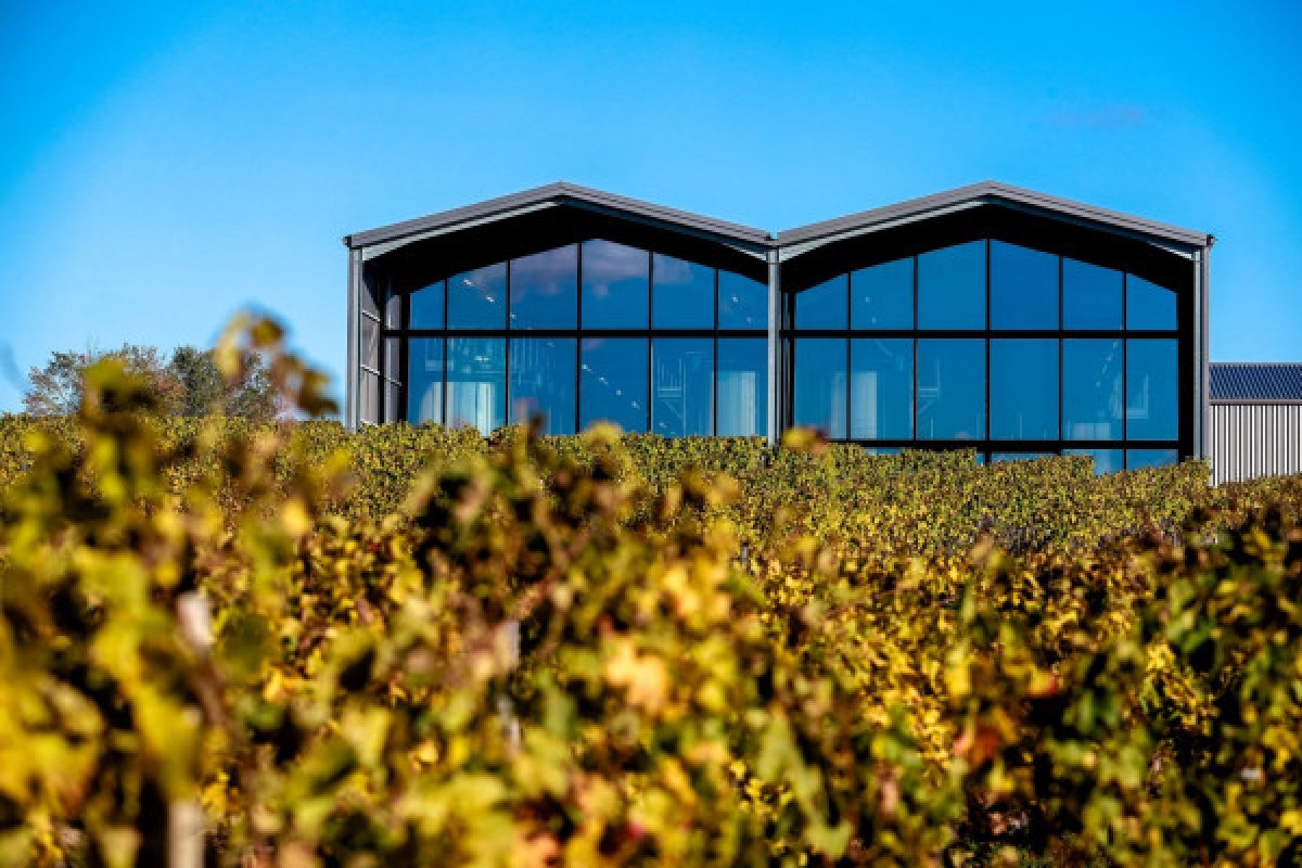 Wine and cheese tasting at Château Lauduc - Vignerons Indépendants