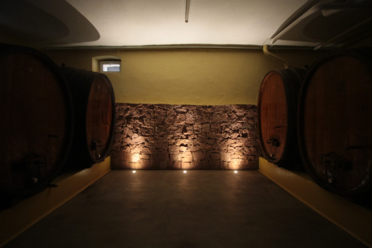 Traditional visit & wine tasting - 5 grape varieties - Vignerons Indépendants