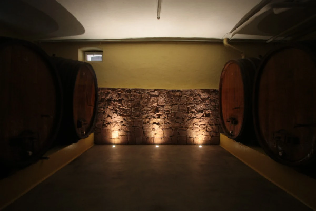 Traditional visit & wine tasting - 5 grape varieties - Vignerons Indépendants