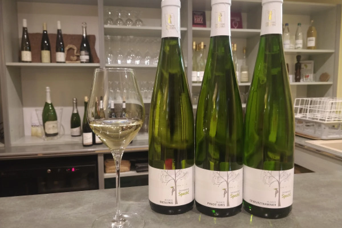 Traditional visit & wine tasting - 5 grape varieties - Vignerons Indépendants