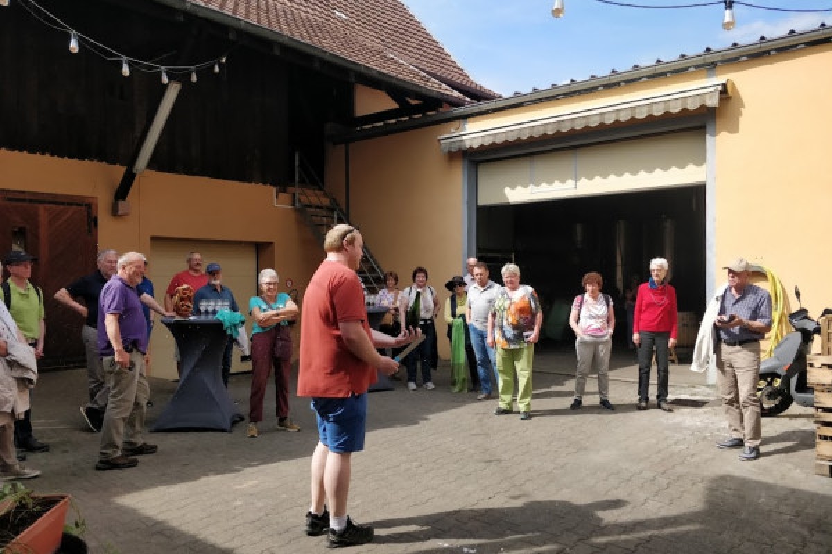 Traditional visit & wine tasting - 5 grape varieties - Vignerons Indépendants