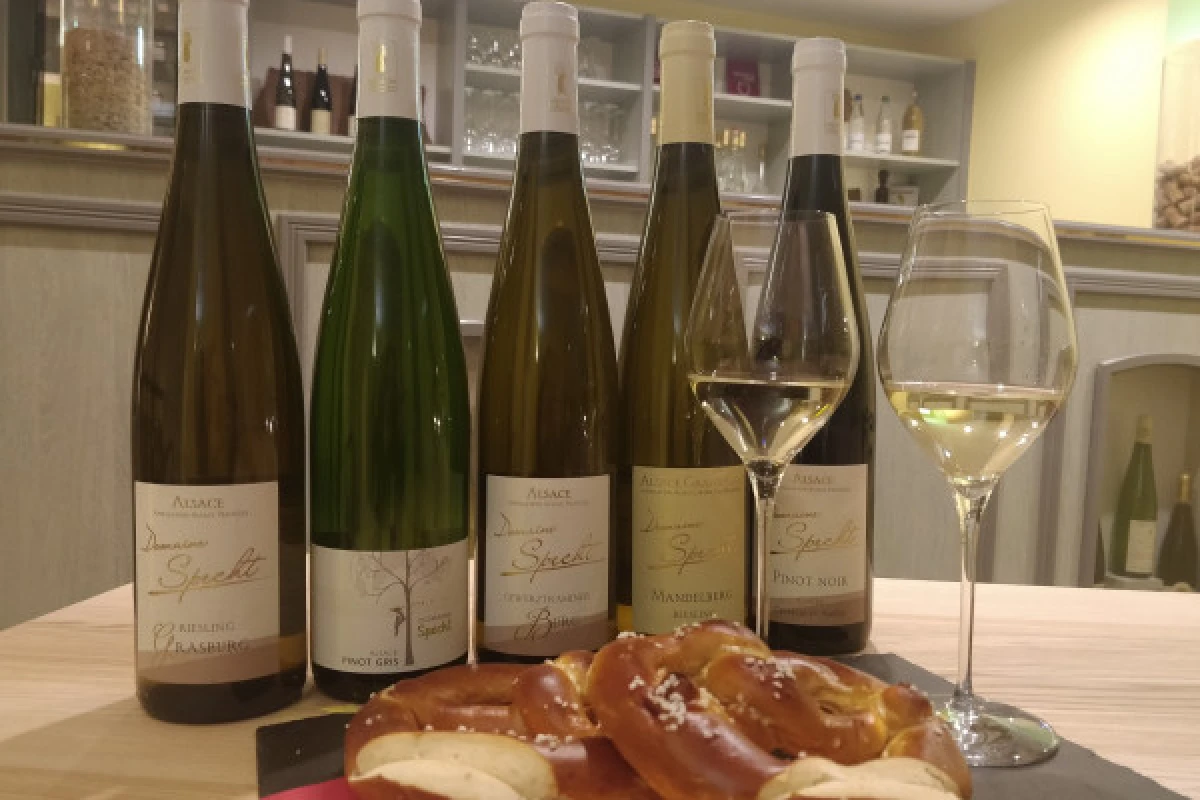 Traditional visit & wine tasting - 5 grape varieties - Vignerons Indépendants