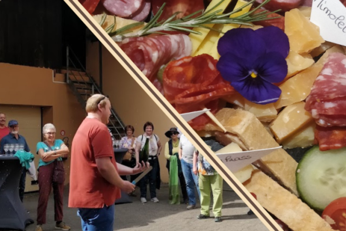 Traditional visit & wine tasting - 5 grape varieties - Vignerons Indépendants