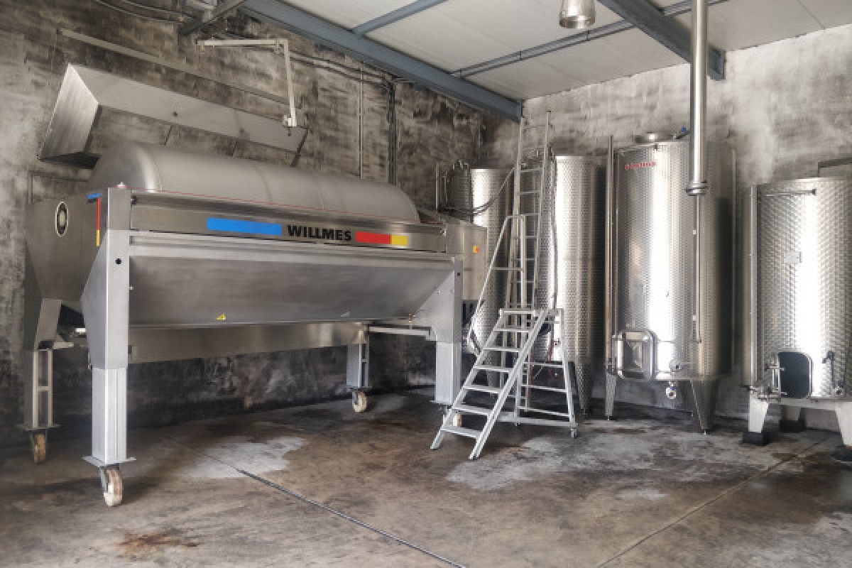 Traditional visit & wine tasting - 5 grape varieties - Vignerons Indépendants