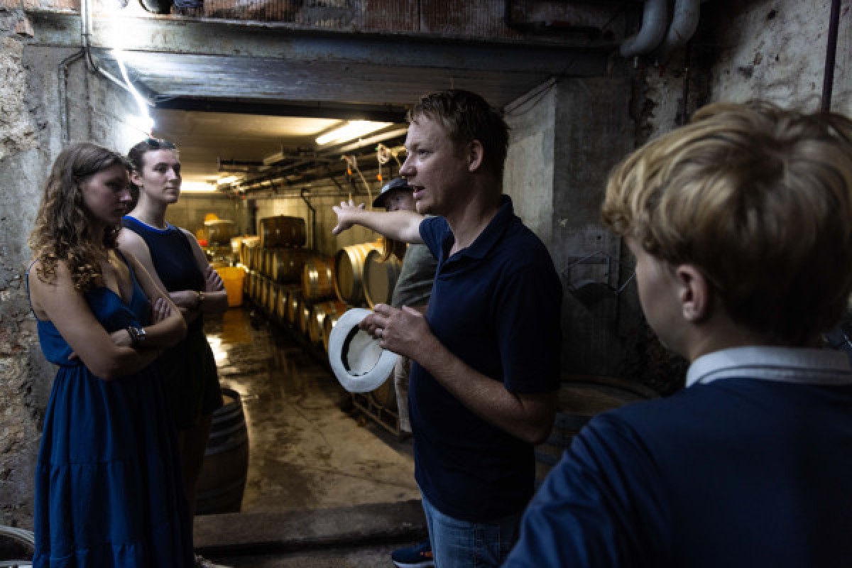 Cellar visit and discovery of Alsace wines - Vignerons Indépendants