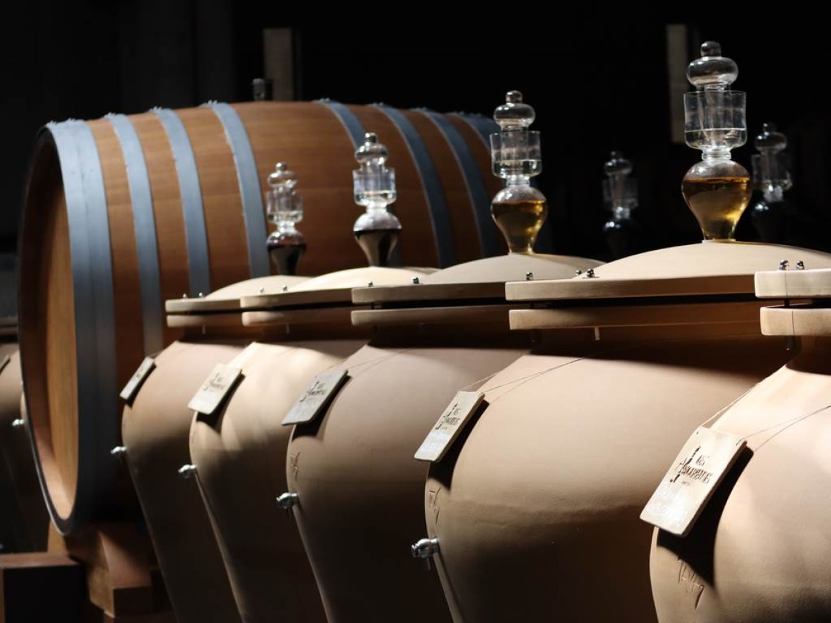 Visit the cellar and tasting of the 15 vintages - Vignerons Indépendants