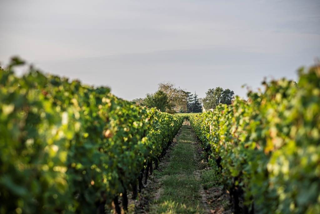  - Vignerons Indépendants