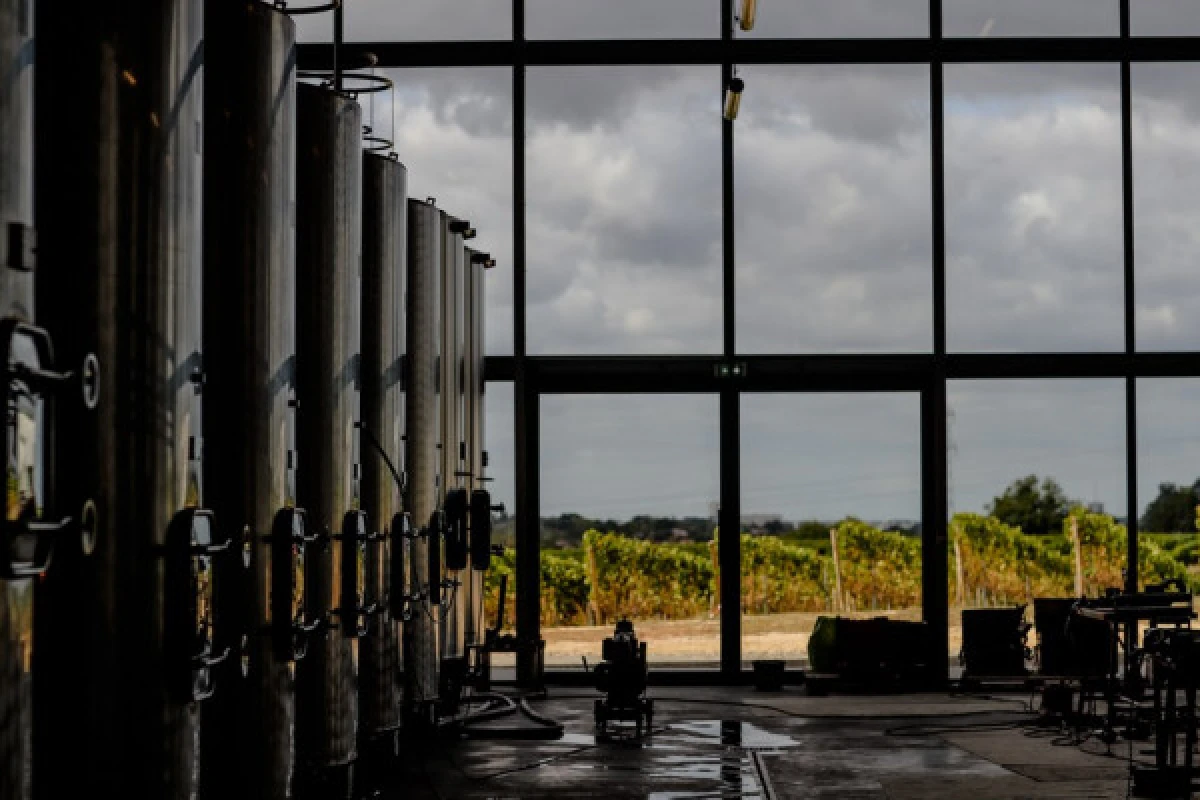 From the soil to the glass - Vignerons Indépendants