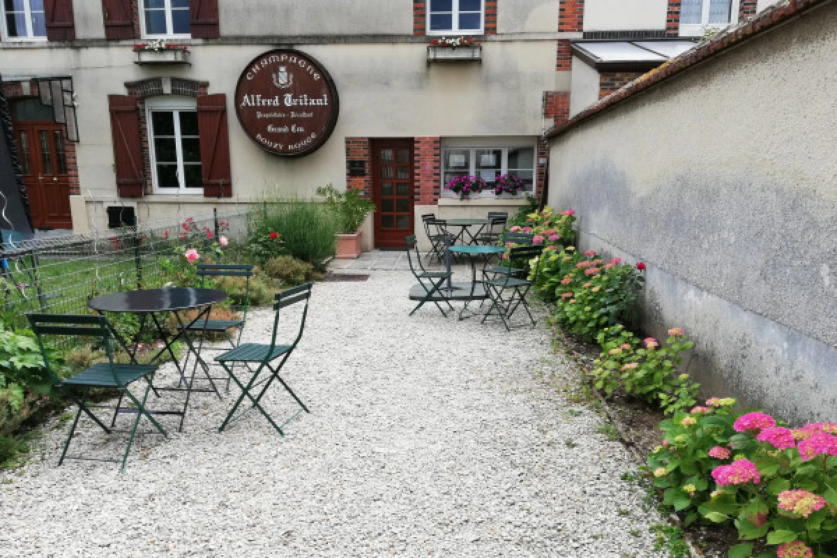 Discovery Visit - Champagne Alfred TRITANT - Vignerons Indépendants