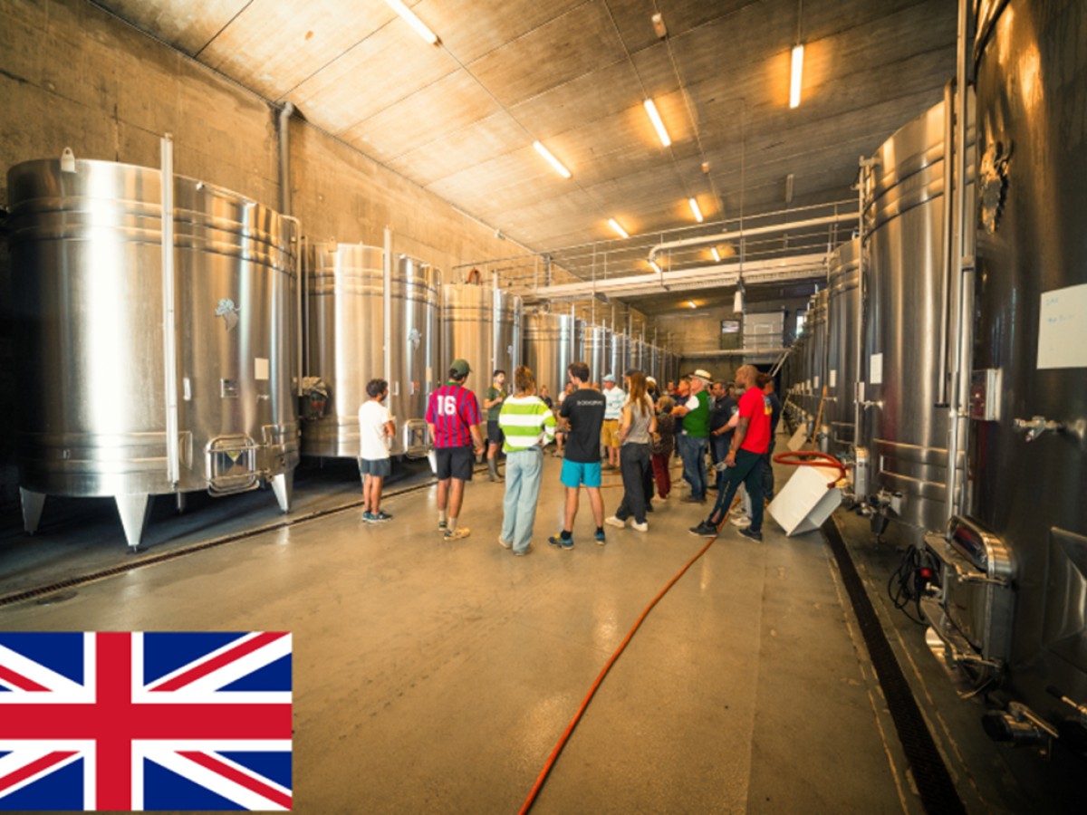 Discovery Visit - Vignerons Indépendants