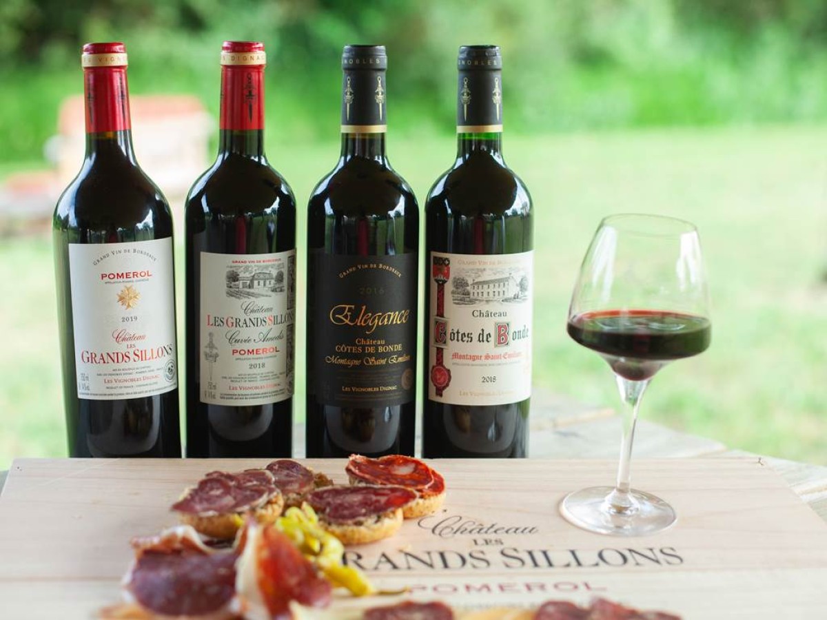 Visite, dégustation de 3 vins et vol en réalité virtuelle - Vignerons Indépendants