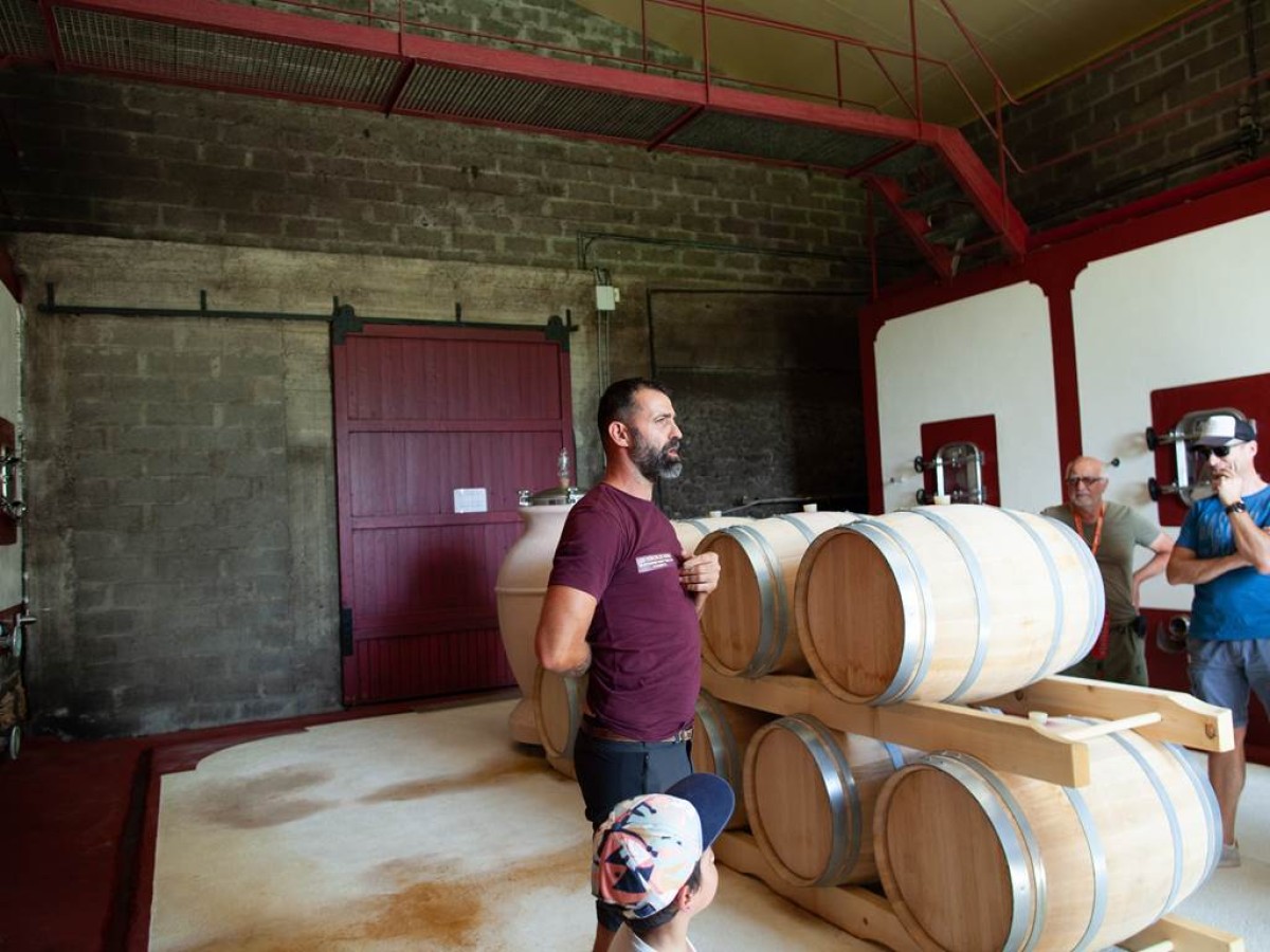 Visite, dégustation de 3 vins et vol en réalité virtuelle - Vignerons Indépendants