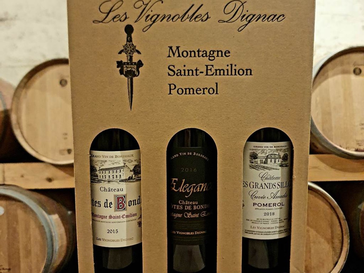 Visite, dégustation de 3 vins et vol en réalité virtuelle - Vignerons Indépendants