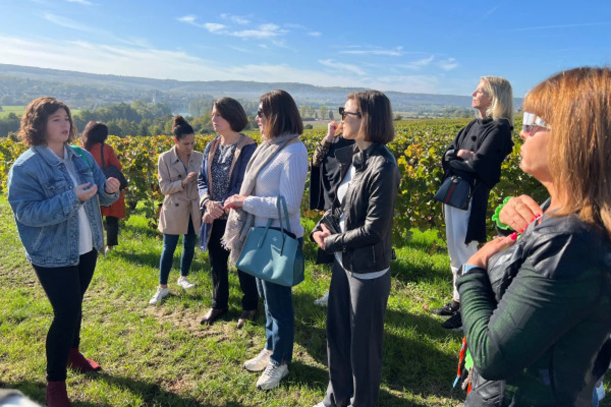 Tour & Tasting - Vignerons Indépendants