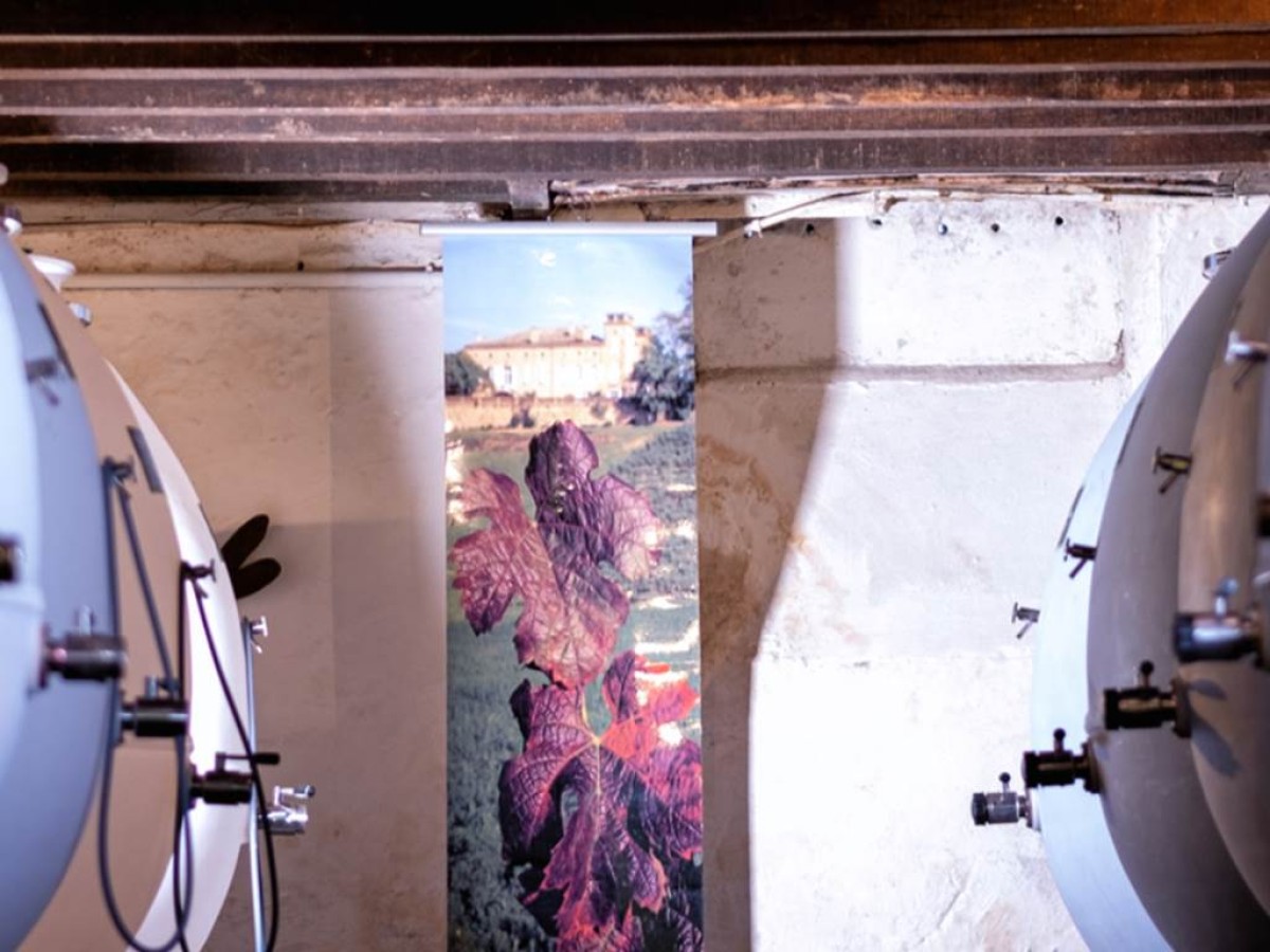  - Vignerons Indépendants