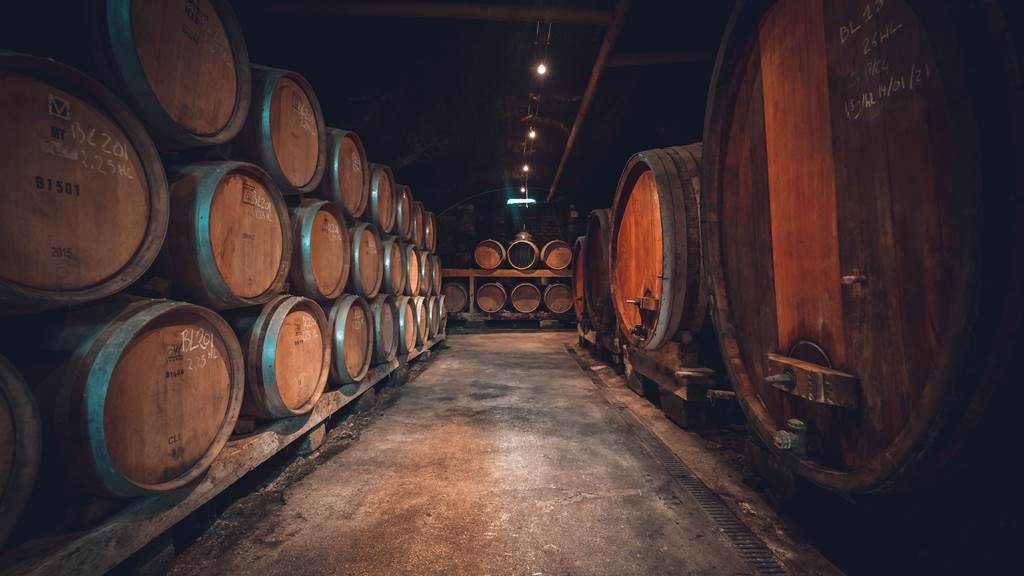 Cellar tour + tasting - Vignerons Indépendants