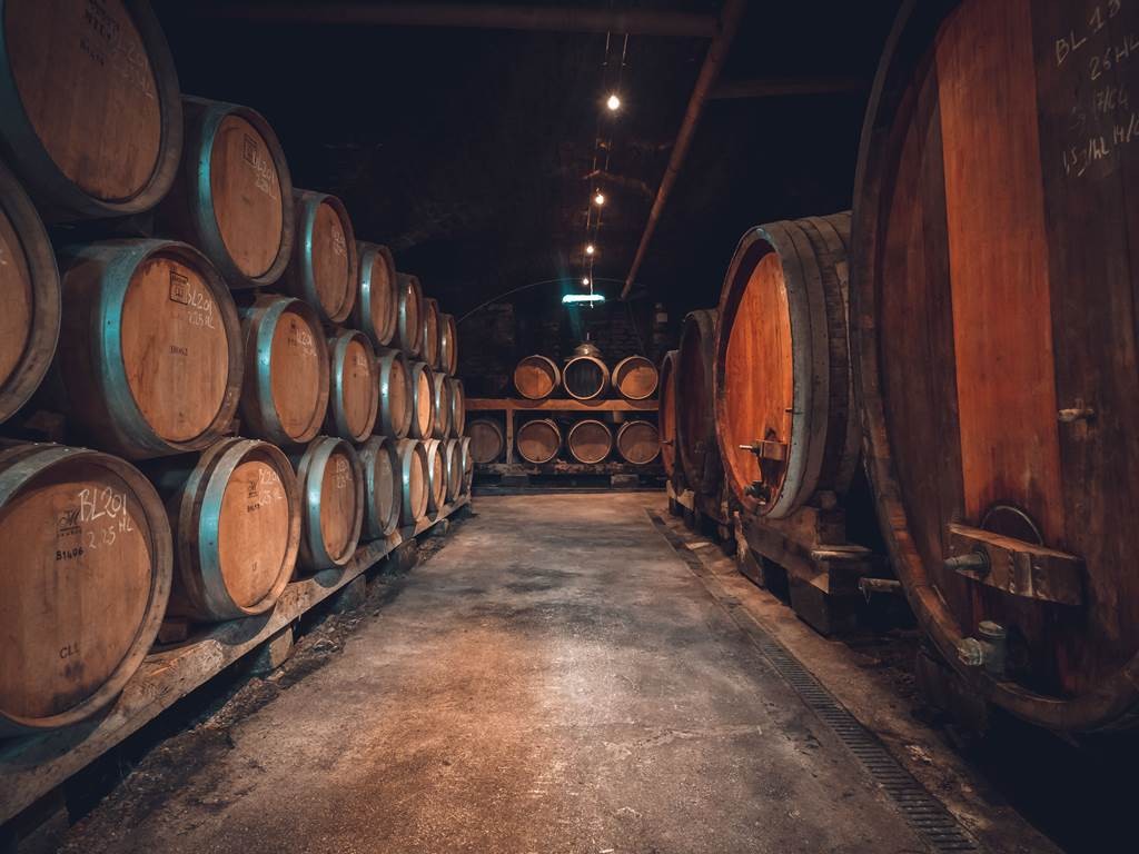 Visite des caves + dégustation - Vignerons Indépendants