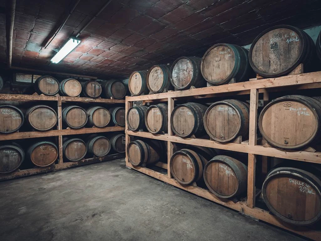 Visite des caves + dégustation - Vignerons Indépendants