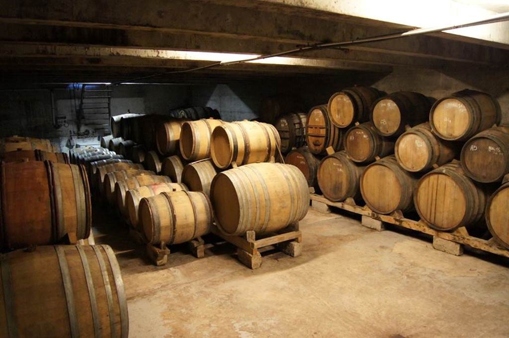 Cellar tour + tasting - Vignerons Indépendants