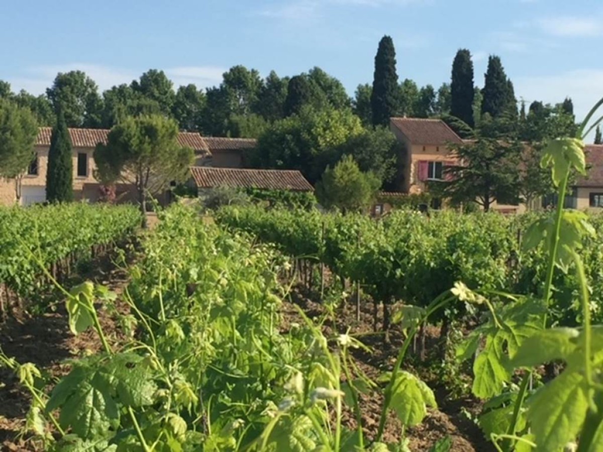  - Vignerons Indépendants