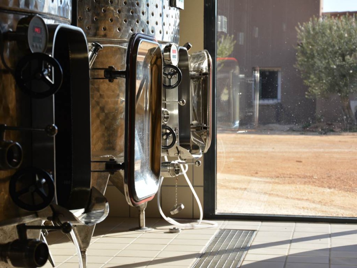 Winery tour and tasting - FR/ENG Privilege package - Vignerons Indépendants