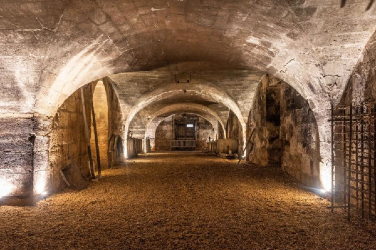 Tour of the château - Vignerons Indépendants