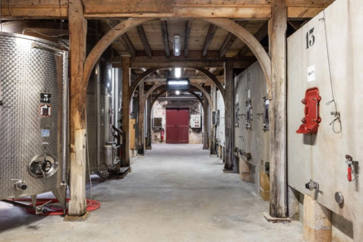 Tour of the château - Vignerons Indépendants