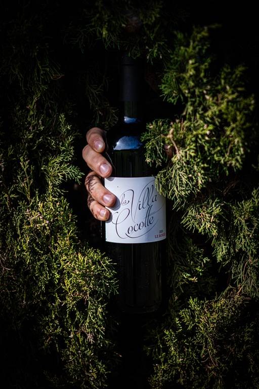 Visite et dégustation au chai - Vignerons Indépendants